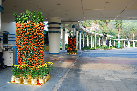 hk110063.jpg