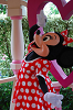 resize0018_thumb.png