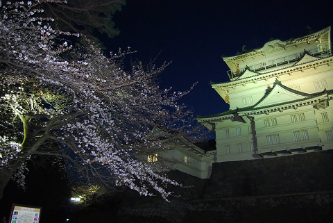 resize0003.jpg