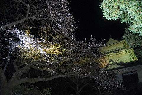 resize0004.jpg