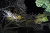 resize0004_thumb.png